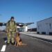 На кордоні України та Польщі відновили пропуск транспорту