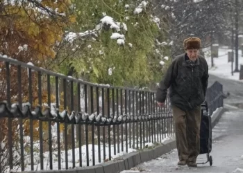«Буде аудит». Українцям, які оформили єПідтримку за кордоном, доведеться її повернути — Шмигаль