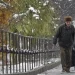«Буде аудит». Українцям, які оформили єПідтримку за кордоном, доведеться її повернути — Шмигаль