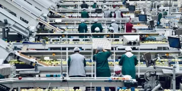 Українці у Польщі працюють більше, ніж поляки – дослідження