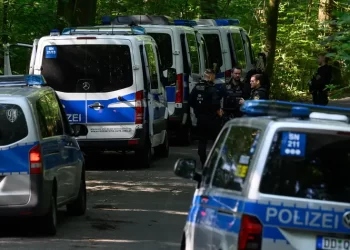 Убивство 9-річної українки в Саксонії: підсудний мовчить