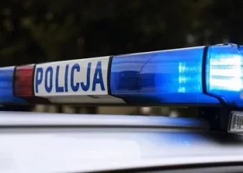 У Варшаві взяли під варту водія, який збив на смерть 14-річного українця