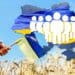 Населення України стрімко скорочується: які причини та що пропонують демографи