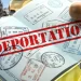 За які порушення українських біженців можуть депортувати з Німеччини