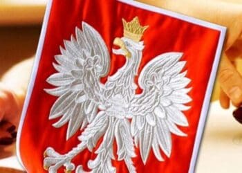 За два останні роки українці зареєстрували 77,7 тисячі індивідуальних підприємств у Польщі