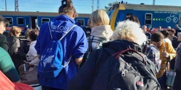 Українські біженці в Естонії залишаться без частини виплат: хто і які гроші втратить