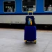 Чехія повідомила, яку користь економіці приносять біженці з України
