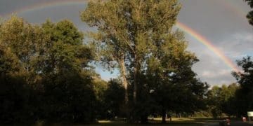 У Плзні проведуть чесько-український пікнік «Слов’янські джерела»