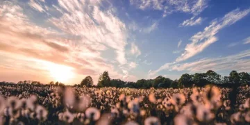 Куди поїхати відпочити у Польщі: 10 незабутніх вражень