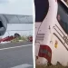 З’явилися деталі смертельної аварії з українськими підлітками у Франції