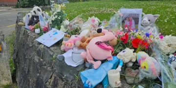 16-річний українець, який зізнався у вбивстві матері та сестри в Бельгії, назвав мотив