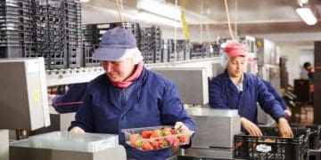 Робота в Польщі: що пропонують українцям та скільки платять