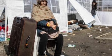 Кількість біженців у світі подвоїлася на тлі скорочення допомоги, – ООН
