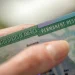 Реєстрація на лотерею грін-карт стане платною вже у жовтні 2025 року