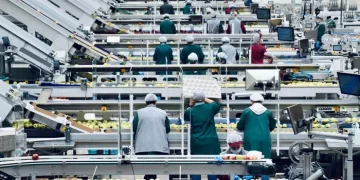 Стало відомо, яка країна Європи є лідером за зайнятістю українців